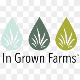 Weed Plant Png, Transparent Png - weed plant png