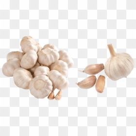 Free Png Images - Garlic Png, Transparent Png - garlic png
