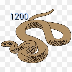 Rattlesnake Clipart Australian Snake - Rattlesnake Clipart, HD Png Download - rattlesnake png