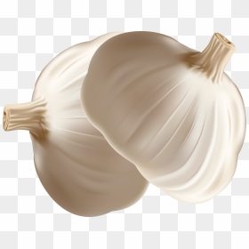 Garlic Onion Euclidean Vector - Garlic Vector Png, Transparent Png - garlic png