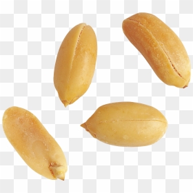 Peanut Clipart , Png Download - Peanut Png, Transparent Png - peanut png