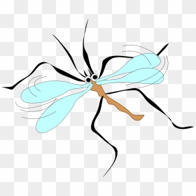 Mosquito Clip Art, HD Png Download - mosquito png