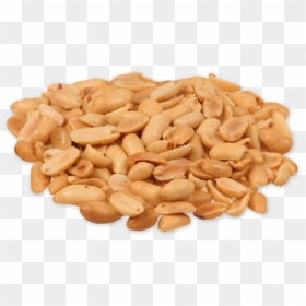 Peanut Png Transparent Peanut Images - Png Of Ground Nuts, Png Download - peanut png