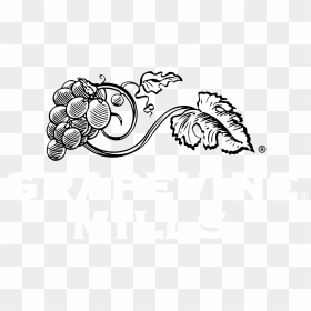 Grapevine Mills Logo Black And White - Grapevine Vector, HD Png Download - grape vine png