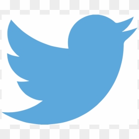 Twitter Logo, HD Png Download - twitter logo png transparent