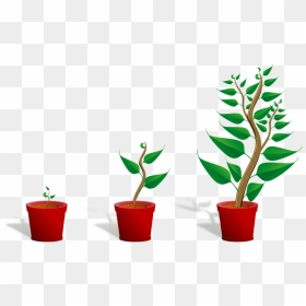 Growing Plant Png Transparent - Getting To Know Plants, Png Download - house plant png