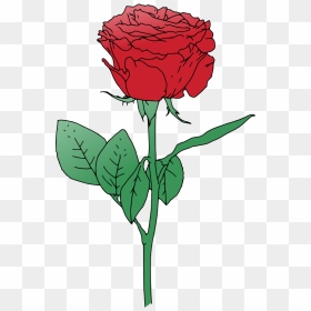Red Vector Rooweb - Transparent Rose Vector Png, Png Download - single rose png