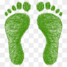 Ecological Footprint Transparent Background, HD Png Download - footprints png