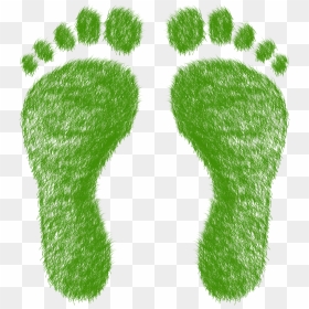 Ecological Footprint Transparent Background, HD Png Download - footprints png