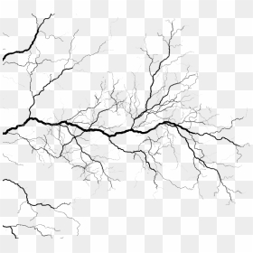 Veins - Transparent Veins Png, Png Download - veins png