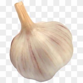 Garlic Png Image - Чеснок Картинки Для Детей, Transparent Png - garlic png