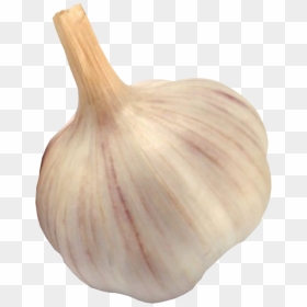 Garlic Png Image - Чеснок Картинки Для Детей, Transparent Png - garlic png