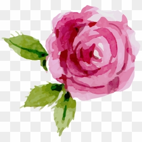 Transparent Background Pink Rose Clipart, HD Png Download - flower png transparent