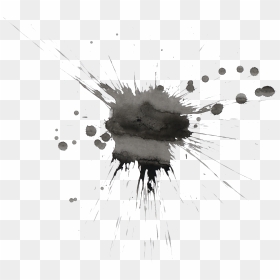 Splash Paint Black And White, HD Png Download - white splatter png