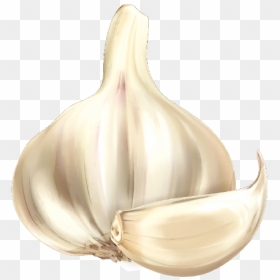 Garlic Cartoon Vegetable - Cartoon Image Of Garlic, HD Png Download - garlic png