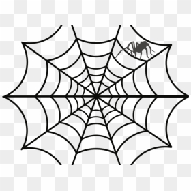 Drawn Spider Funnel Web - Transparent Background Spiderman Web, HD Png Download - cobweb png