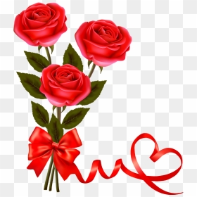 Valentine Rose Png - Beautiful Rose Png Hd, Transparent Png - single rose png