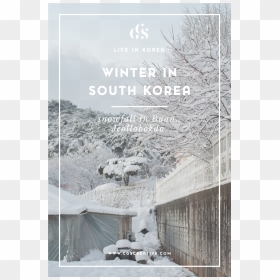 Snowflakes Falling Png Transparent , Png Download - Winter Korea, Png Download - snowflakes falling png transparent