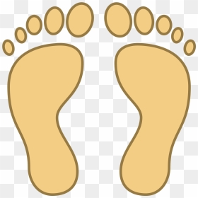 Transparent Footprint Clipart - Feet Clipart Png, Png Download - vhv