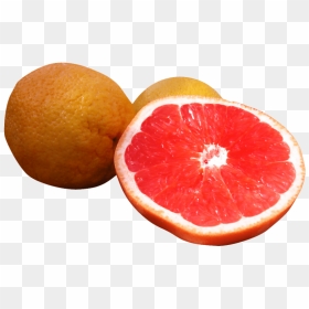 Free Png Grapefruit Png Images Transparent - Greyfurt, Png Download - grapefruit png