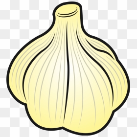 Garlic Clipart Png - Garlic Clipart, Transparent Png - garlic png