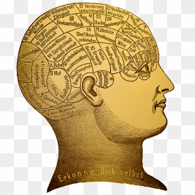 File - Phrenology - Wikimedia Commons - Historical Psychology, HD Png Download - psychology png