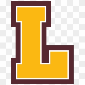 Library Of Basketball Court Png Royalty Free Creative - Loyola Chicago Basketball Logo, Transparent Png - basketball court png