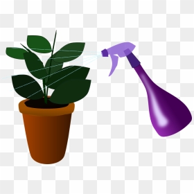 Spray Plant Png, Transparent Png - house plant png