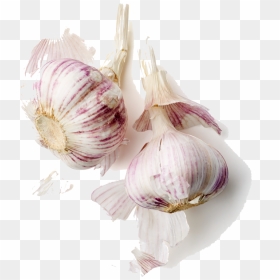 Shrimp, Flour, Garlic, Oregano And Thyme - Garlic, HD Png Download - garlic png