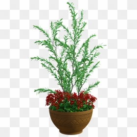 Houseplant, HD Png Download - planter png