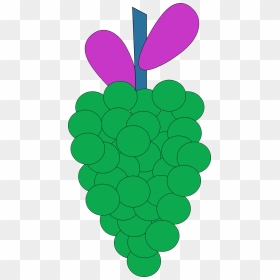 Vector Clip Art - Cartoon Grape Vine, HD Png Download - grape vine png