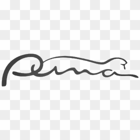Puma Logo Photo Background, HD Png Download - puma logo png