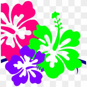 Hawaiian Flower Clipart Hawaiian Flower Clip Art Borders - Md Mba Eugene Rhee Md Urology, HD Png Download - hawaiian flower png