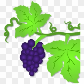 Clip Art Grape Leaves, HD Png Download - grape vine png
