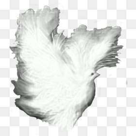 Dove Fantasy White Shadows Clip Arts - Portable Network Graphics, HD Png Download - white dove png