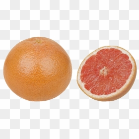 Grapefruit Png Image Background - Grapefruit Png, Transparent Png - grapefruit png