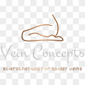 Color Logo Transparent14, HD Png Download - veins png