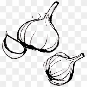Transparent Garlic Clipart - Garlic Black And White Clipart, HD Png Download - garlic png