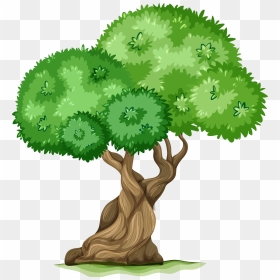 Tree Clipart Cute - Tree In A Zoo Clipart, HD Png Download - tree top view png
