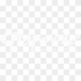 Grapevine Logo White - Black-and-white, HD Png Download - grape vine png