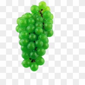 Виноград Фото, HD Png Download - grape vine png