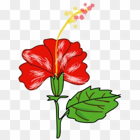 Hibiscus Flower Svg Clip Arts - Gumamela Clipart, HD Png Download - hawaiian flower png