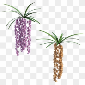Portable Network Graphics, HD Png Download - tropical flowers png