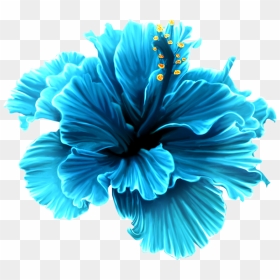 Blue Tropical Flowers Png , Png Download - Blue Tropical Flowers Clipart, Transparent Png - tropical flowers png