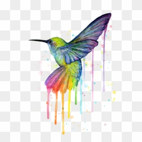 Hummingbird Png Transparent - Hummingbird Of Watercolor Rainbow, Png Download - hummingbird png