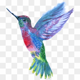 Hummingbird Png, Transparent Png - hummingbird png