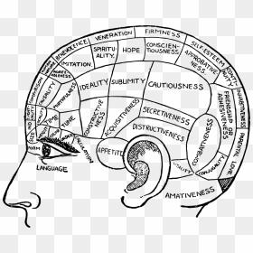 Thoughts Drawing Psychology - Inside The Brain Drawing, HD Png Download - psychology png