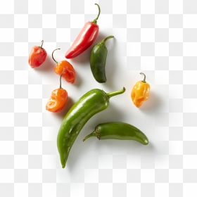 Transparent Habanero Pepper Clipart - Bird's Eye Chili, HD Png Download - chili png