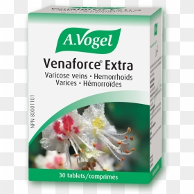 Vogel Venaforce® Extra - Vogel Venaforce Extra, HD Png Download - veins png