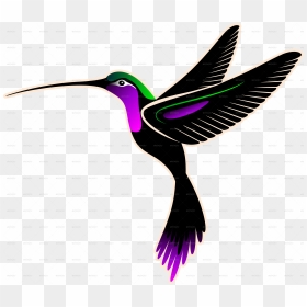 Hummingbird Logo Transparent Background, HD Png Download - hummingbird png